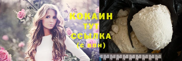 спайс Арсеньев