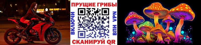 OMG сайт  Сорочинск  Псилоцибиновые грибы Psilocybine cubensis 